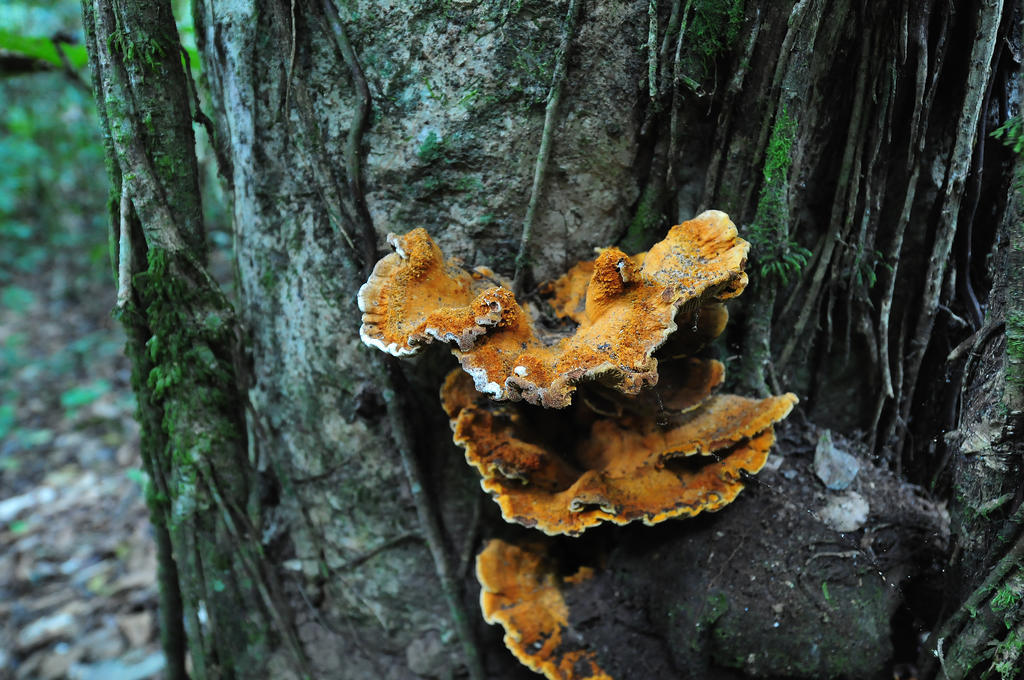 Pousada Do Parque Chapada dos Guimarães Exteriér fotografie